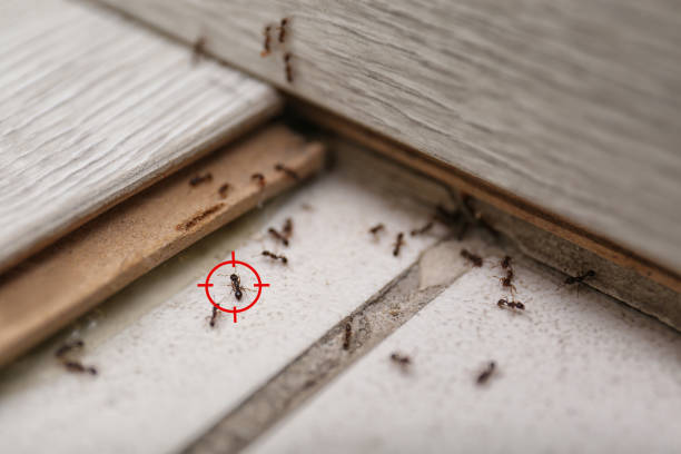 Boonville, MO Pest Control Company