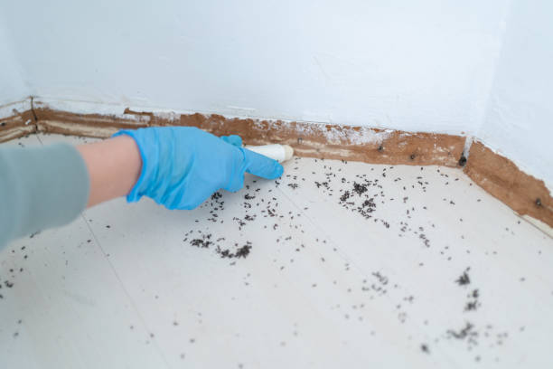 Best Commercial Pest Control Services  in Boonville, MO