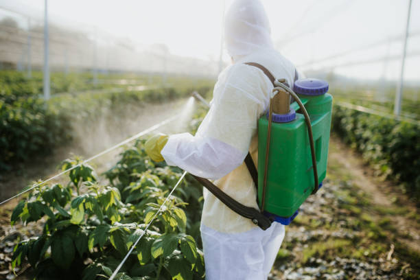 Best Mosquito Control Services  in Boonville, MO